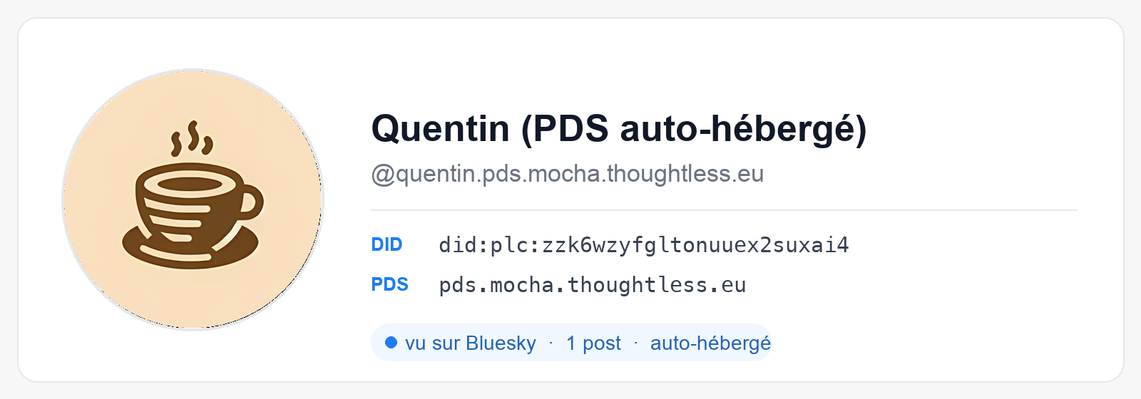 Carte de profil du compte de démo quentin.pds.mocha.thoughtless.eu : avatar, DID et PDS.